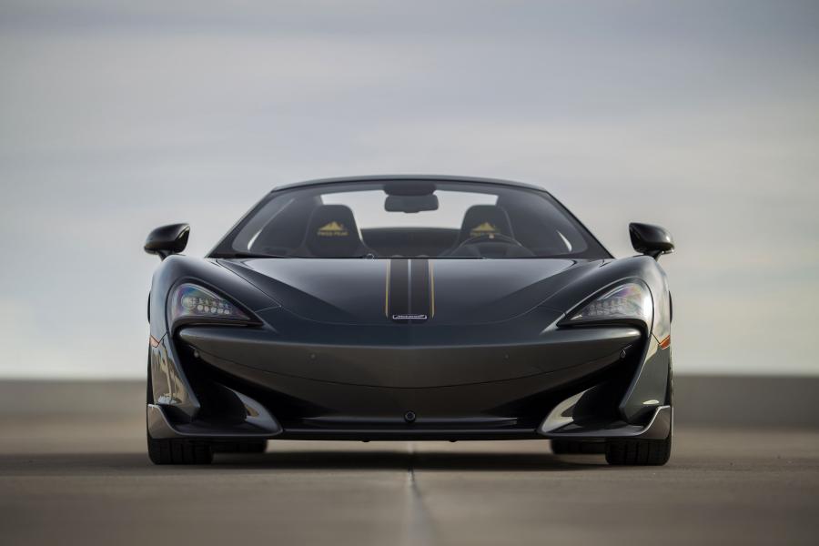  McLaren MSO 600LT Spider Pikes Peak Collection 2019 года  (фото 20 из 23)